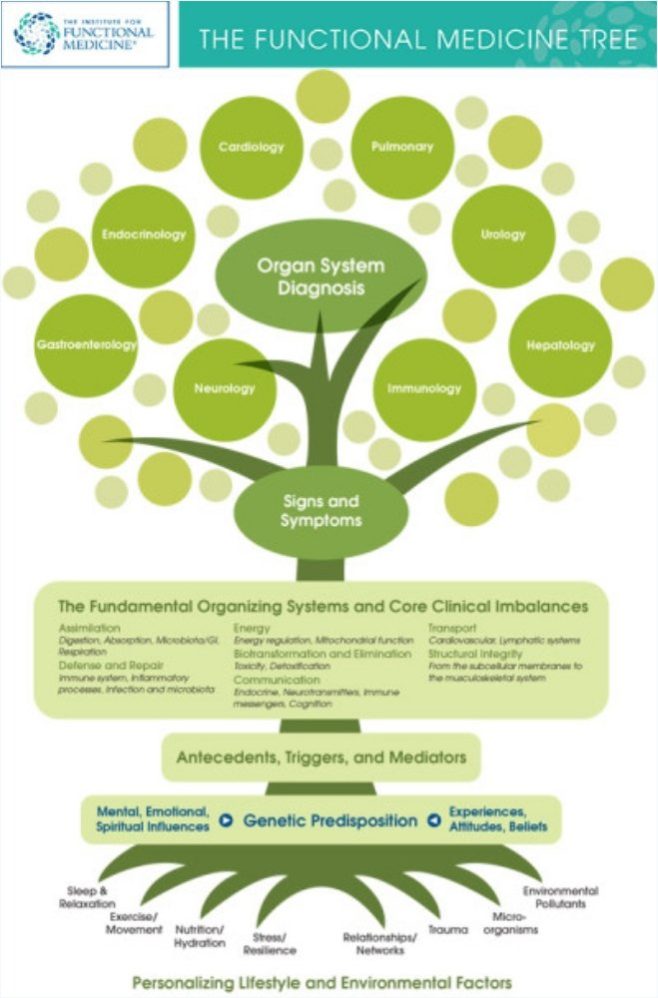 img-medicine-tree
